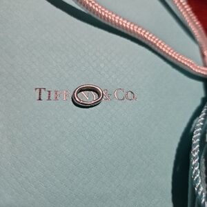 T&Co Authentic Clasping Link